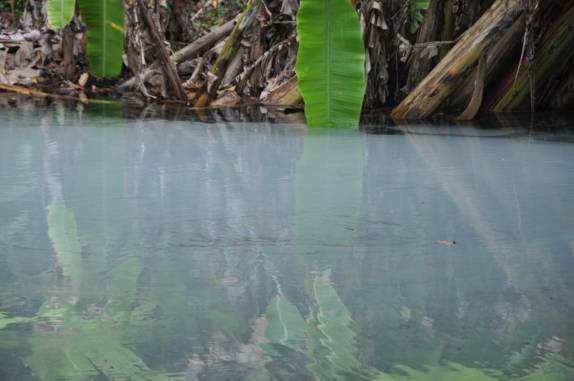 Fervedouro e as areias borbulhantes, próximo à Mateiros, região do Jalapão - TO